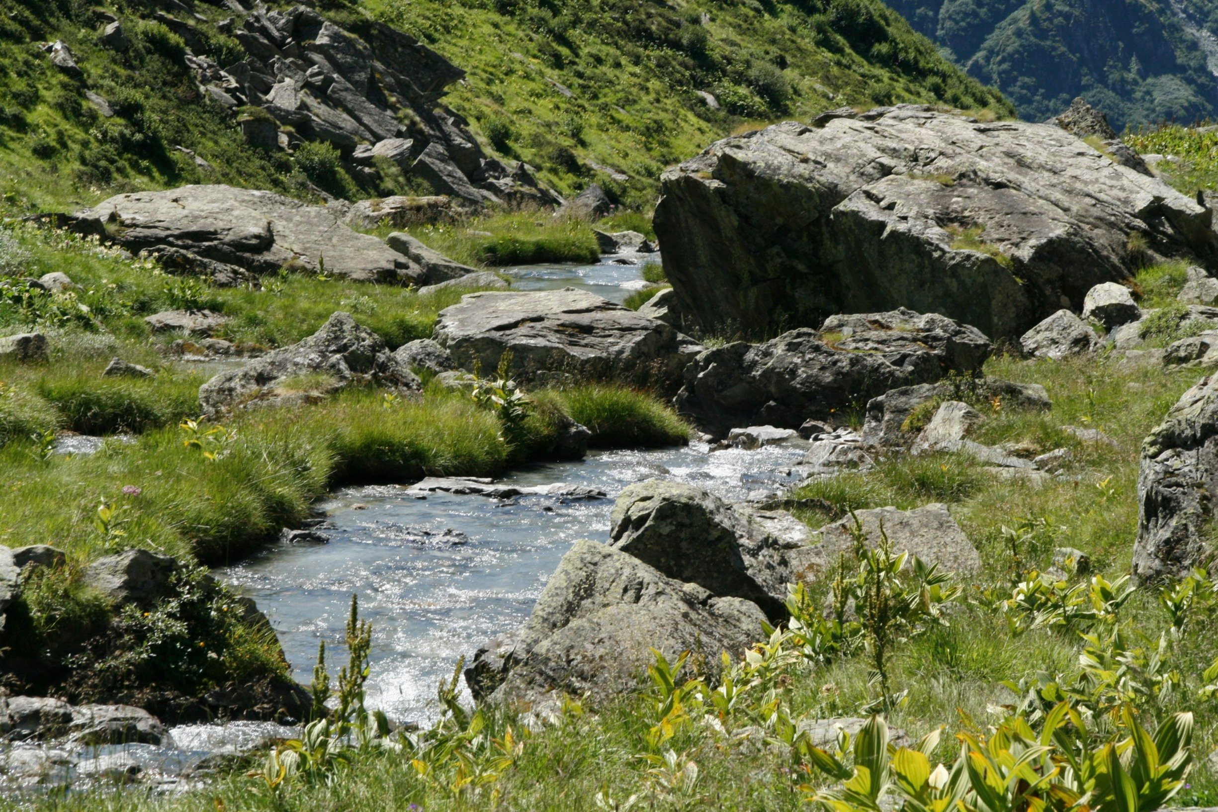 Fonds d'cran Nature Fleuves - Rivires - Torrents Rivire de montagne