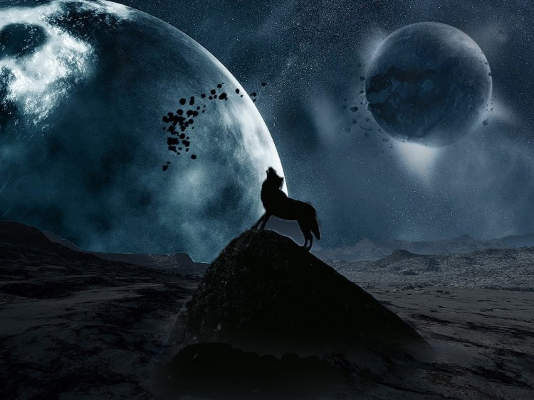 Wallpapers Digital Art Animals loup destrusteur