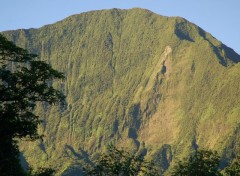 Fonds d'cran Nature Le jour tombe la lumire s'adoucit