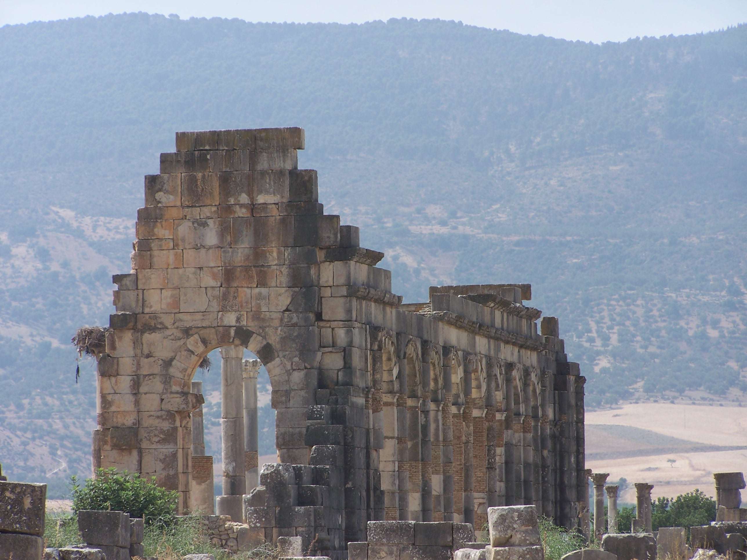 Fonds d'cran Constructions et architecture Ruines - Vestiges Volubilis