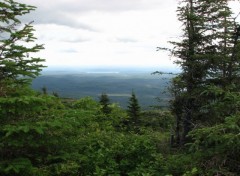 Fonds d'cran Nature Parc Mont Valin