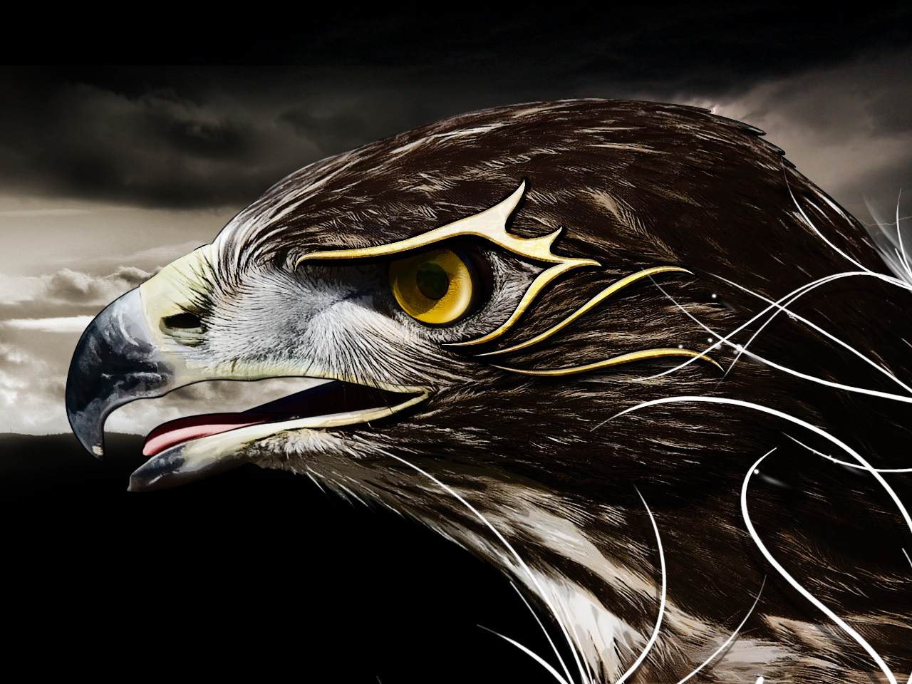 Wallpapers Digital Art Animals Black hawk