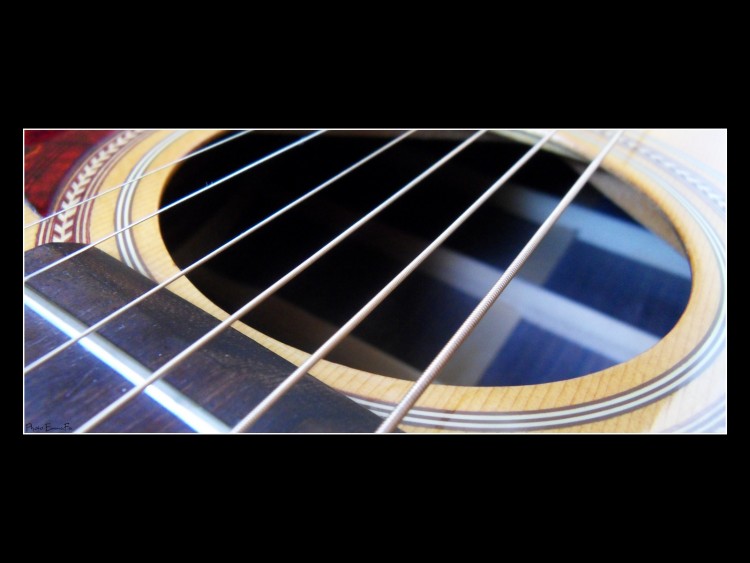 Wallpapers Music Instruments - Guitares Rosace