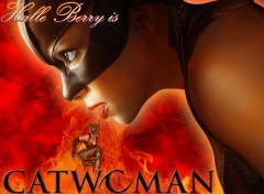 Fonds d'cran Clbrits Femme Catwoman