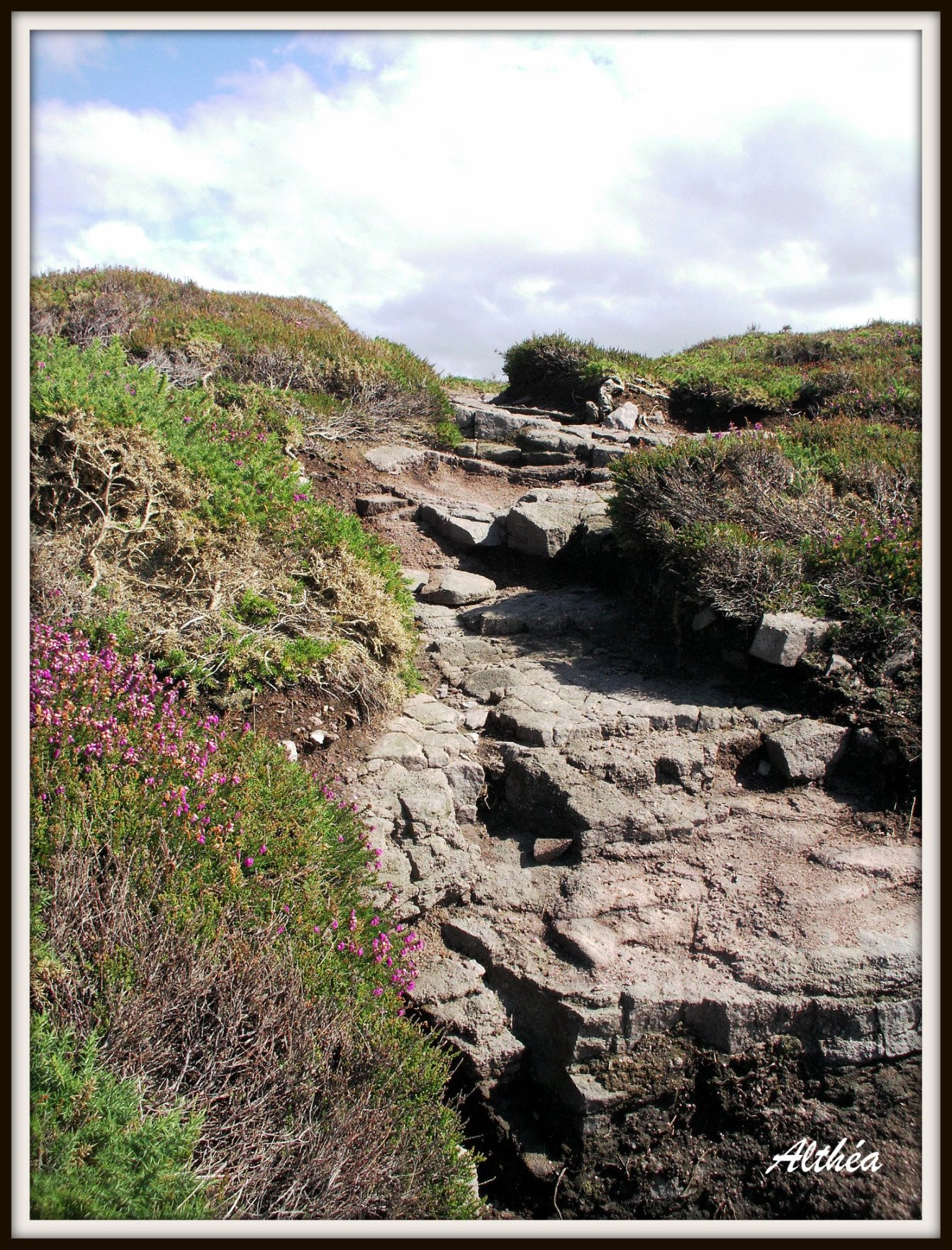 Wallpapers Nature Paths chemin d'accs  la plage du cap frhel ( ctes d'armor )