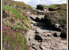 Fonds d'cran Nature chemin d'accs  la plage du cap frhel ( ctes d'armor )