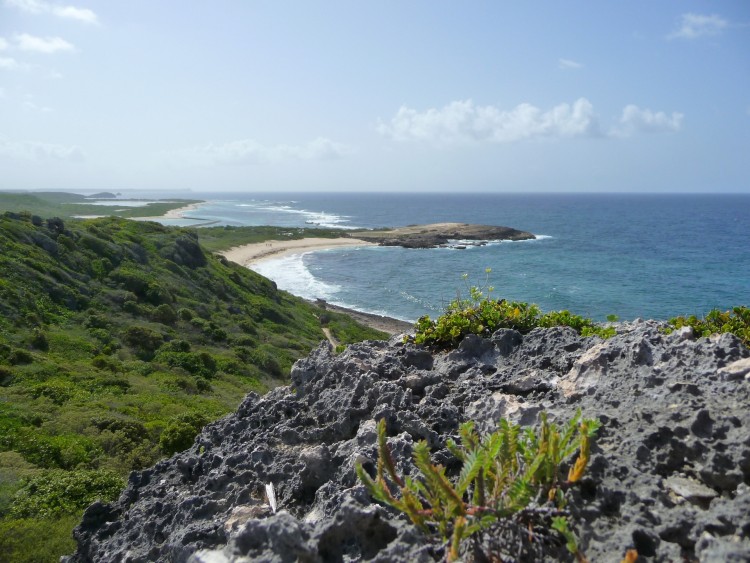 Fonds d'cran Nature Mers - Ocans - Plages Ocan ( La pointe des Chateaux Guadeloupe )