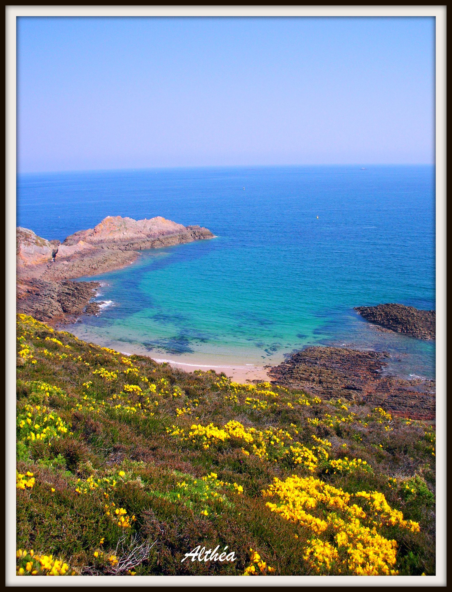 Fonds d'cran Nature Mers - Ocans - Plages flore sur la cte du cap d'erquy ( 22 )