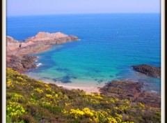 Fonds d'cran Nature flore sur la cte du cap d'erquy ( 22 )