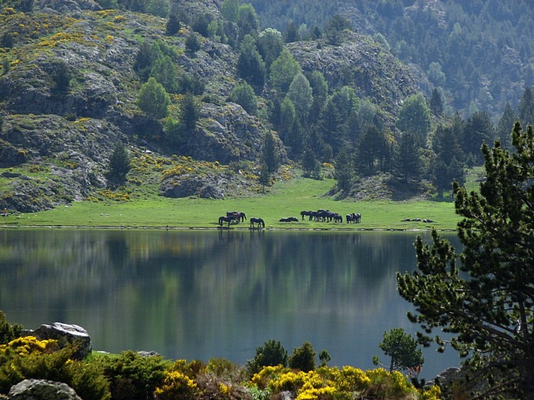 Wallpapers Nature Lakes - Ponds L'etang de Font-vive