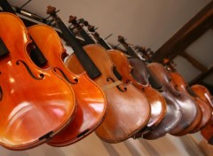 Wallpapers Music Tourne les violons