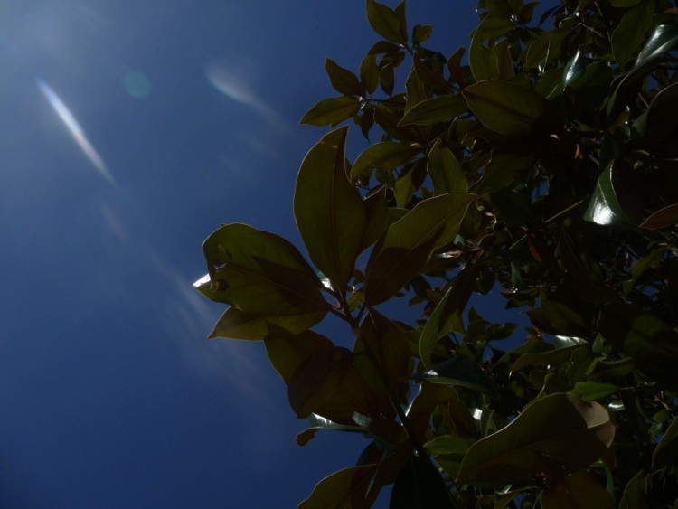 Fonds d'cran Nature Ciel - Nuages azur mon amour