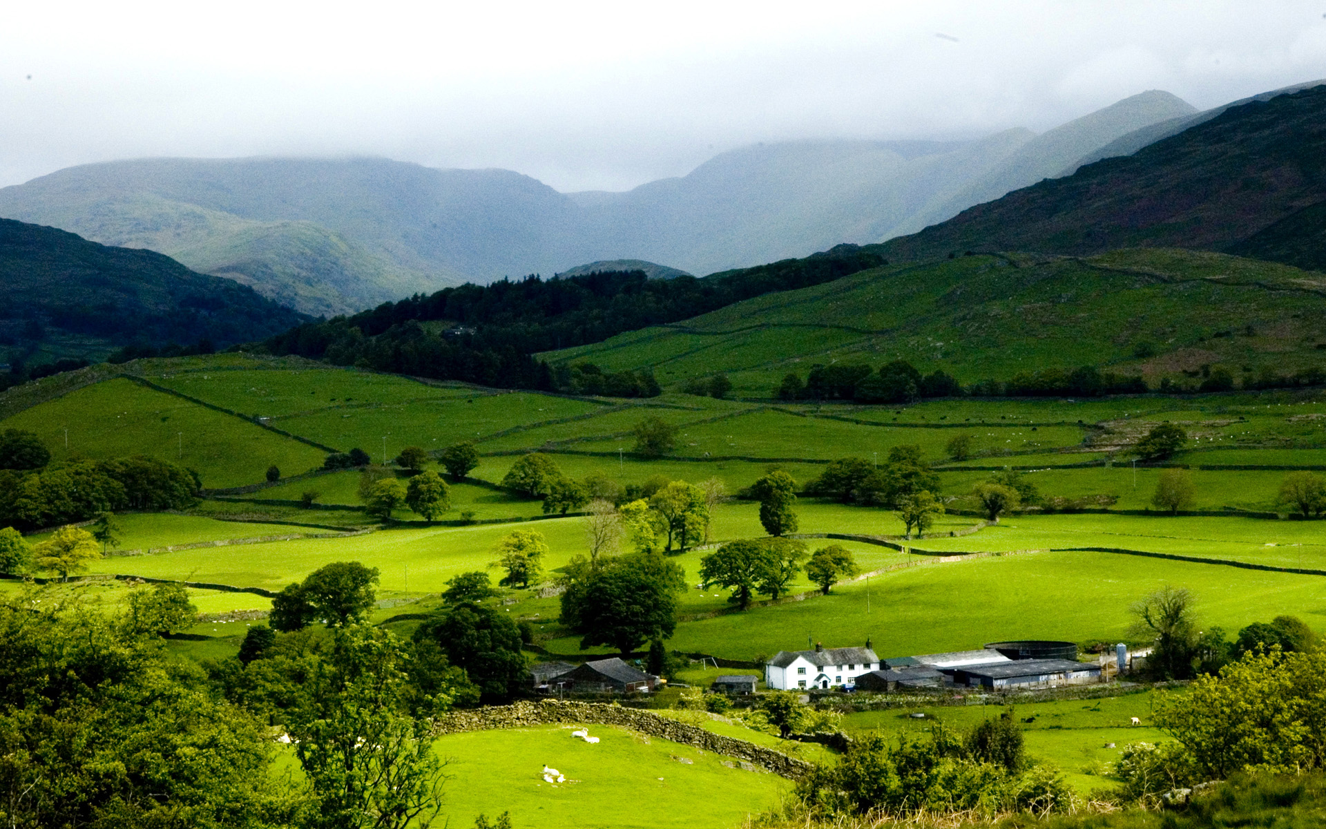 Fonds d'cran Nature Campagne 