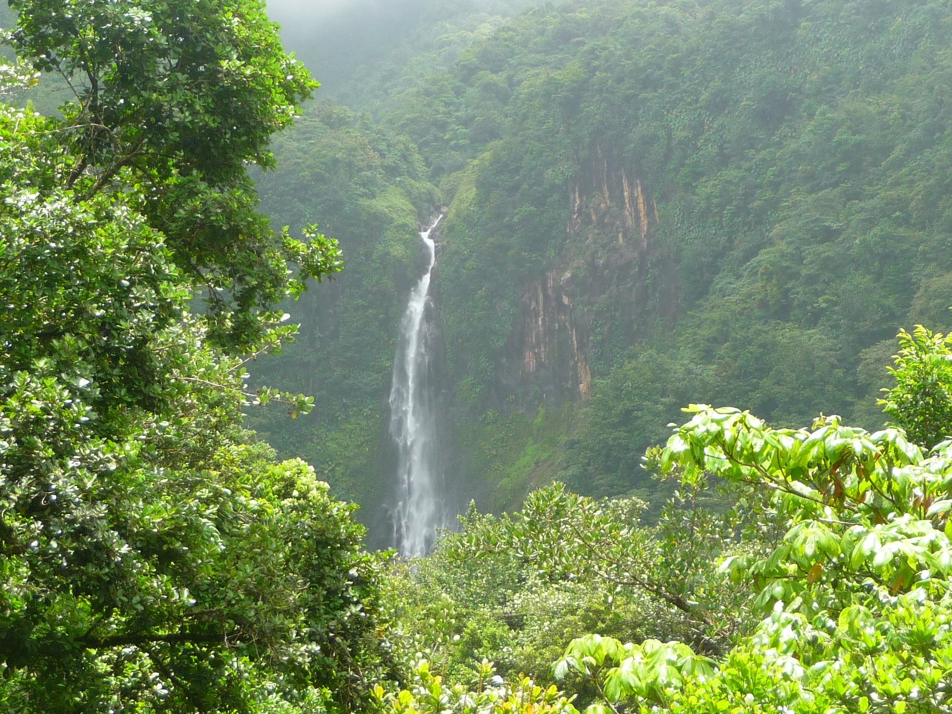 Fonds d'cran Nature Cascades - Chutes Chute du Carbet ( Guadeloupe )