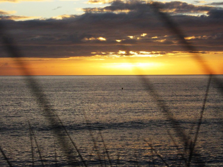 Fonds d'cran Nature Couchers et levers de Soleil Couch de soleil dor