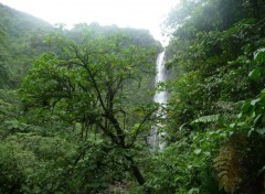 Fonds d'cran Nature Chute du Carbet ( Guadeloupe )