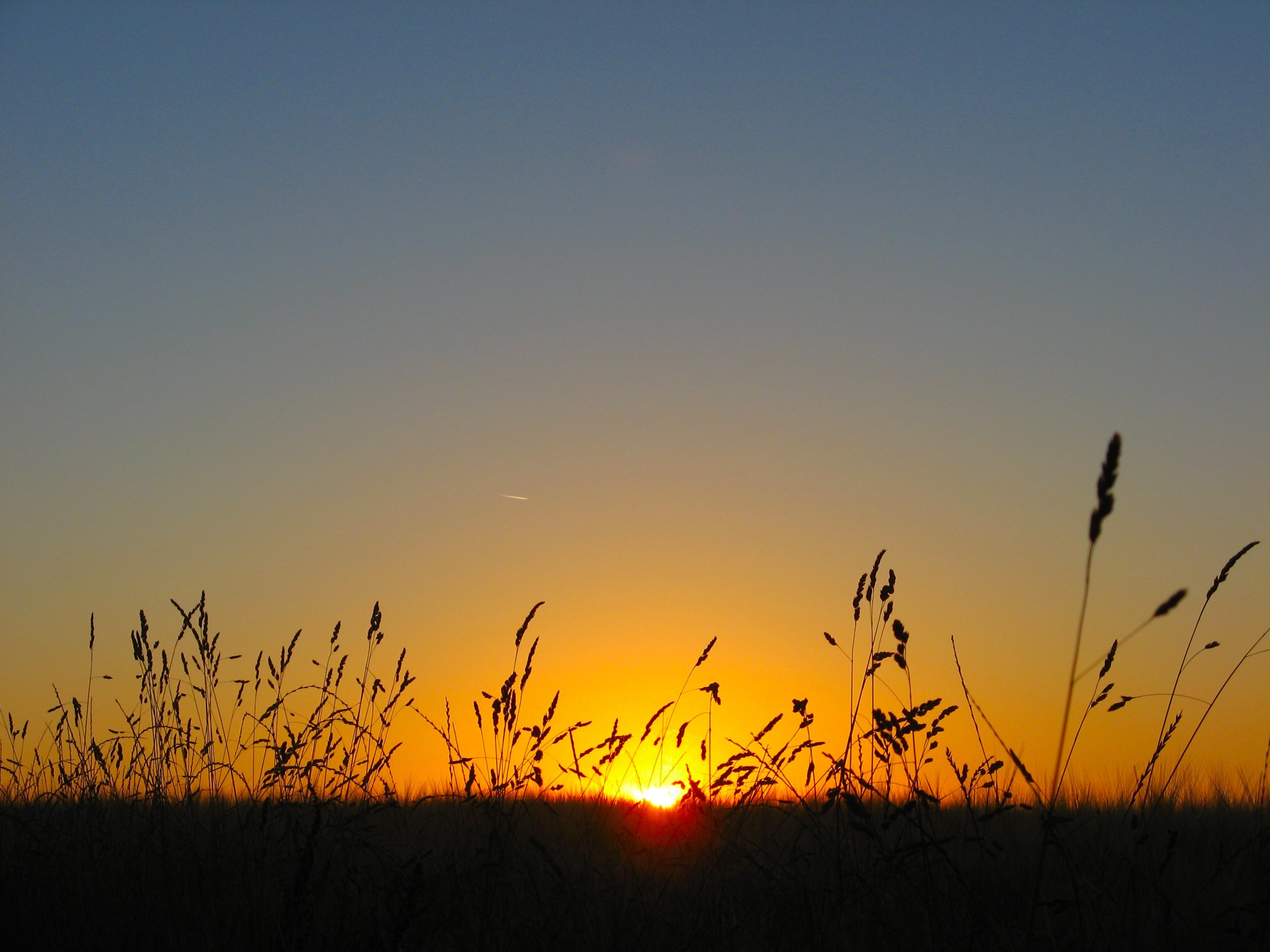 Fonds d'cran Nature Couchers et levers de Soleil Petit matin sur les champs