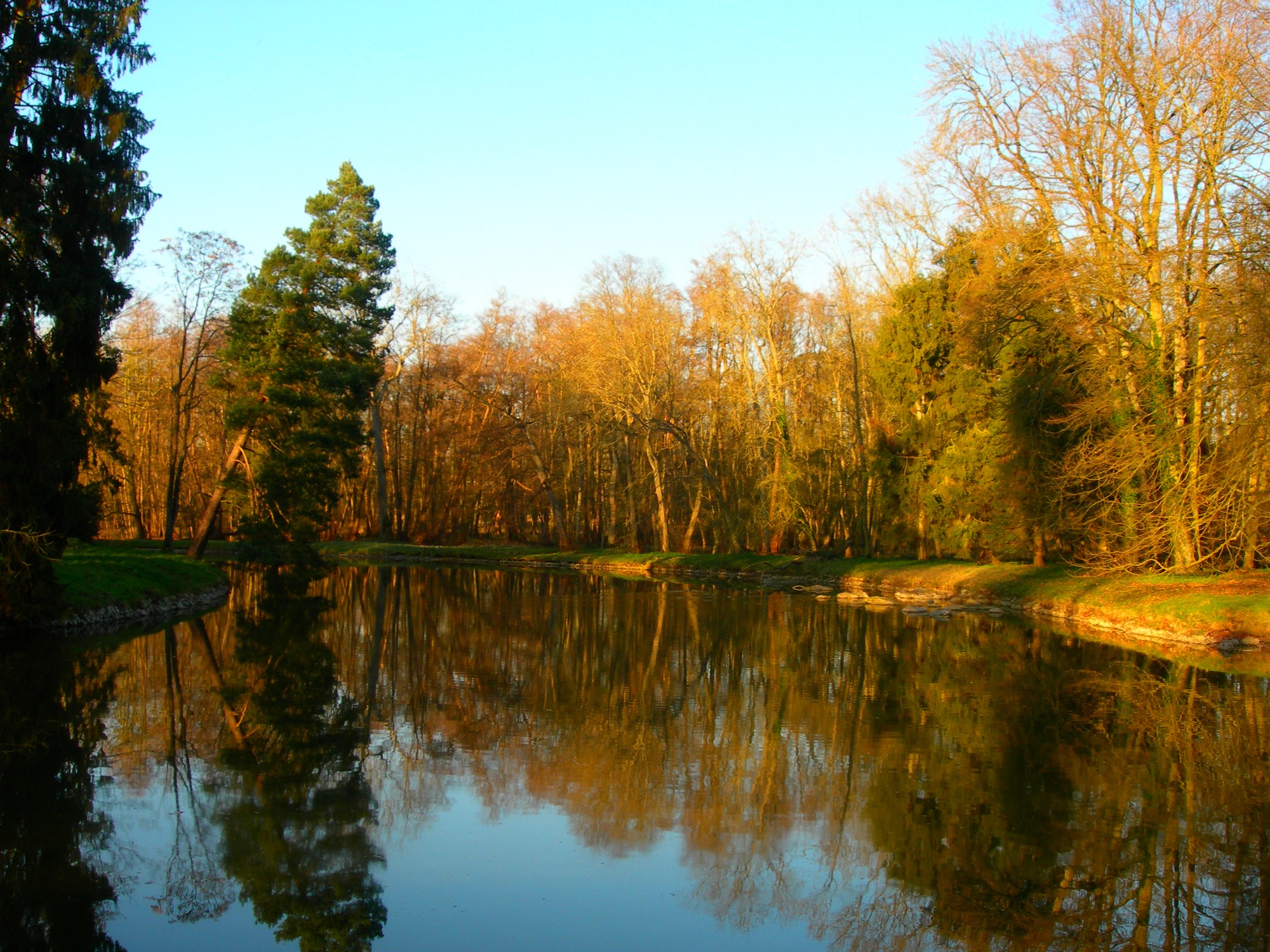 Wallpapers Nature Trees - Forests Quand vient l'automne