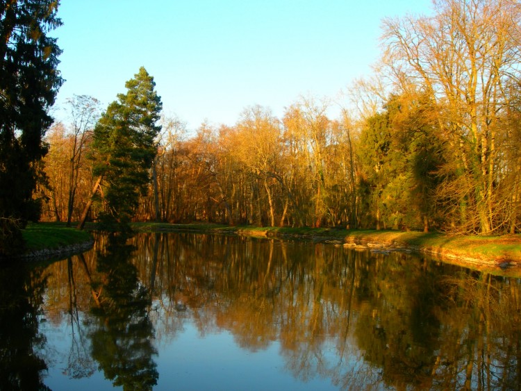 Fonds d'cran Nature Arbres - Forts Quand vient l'automne