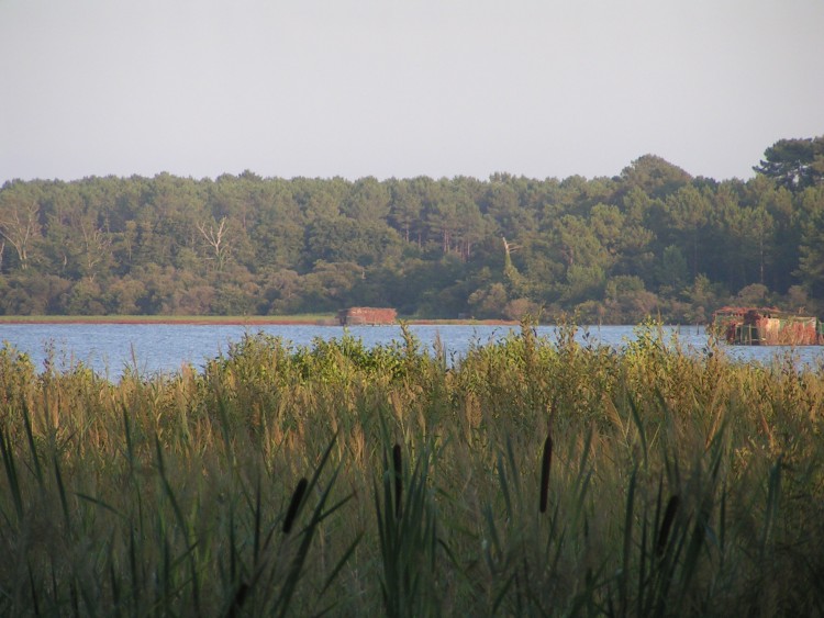 Fonds d'cran Nature Lacs - Etangs couch de soleil sur l'tang blanc