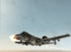 Fonds d'cran Jeux Vido A-12 Warthog