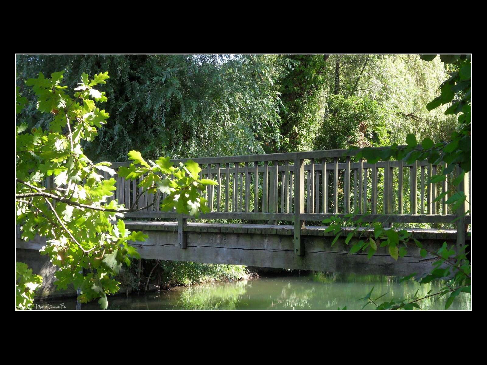 Wallpapers Nature Parks - Gardens Pont de bois