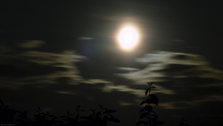 Wallpapers Nature Skies - Clouds Moonlight