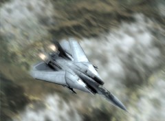 Fonds d'cran Jeux Vido Tom Clancy Hawx F-14 Tomcat