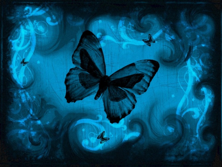 Wallpapers Digital Art Animals mon beau papillon