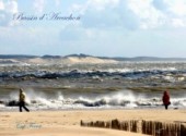 Fonds d'cran Nature Bassin d'Arcachon - Cap Ferret