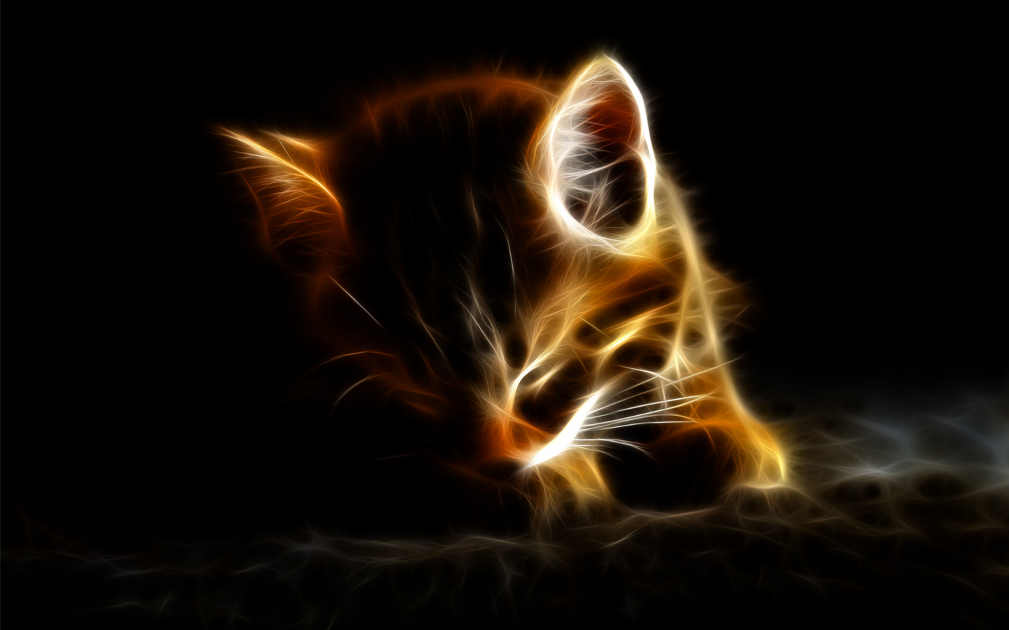 Wallpapers Digital Art Animals Corto le Chaton