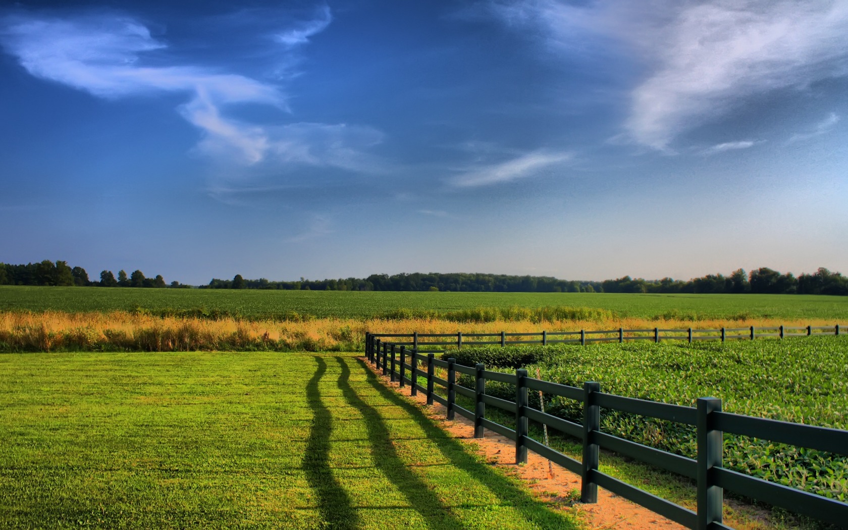 Fonds d'cran Nature Champs - Prairies 