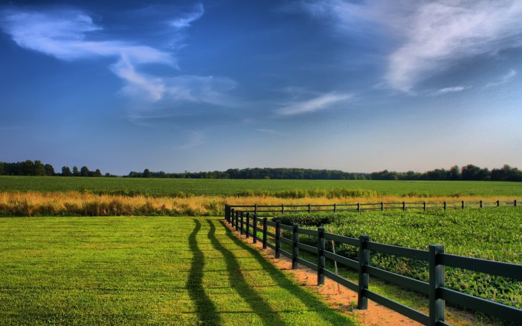 Fonds d'cran Nature Champs - Prairies Wallpaper N245504