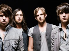 Wallpapers Music kings of leon