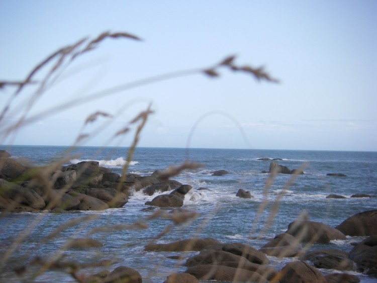 Fonds d'cran Nature Mers - Ocans - Plages rochers