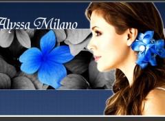 Wallpapers Celebrities Women alyssa milano