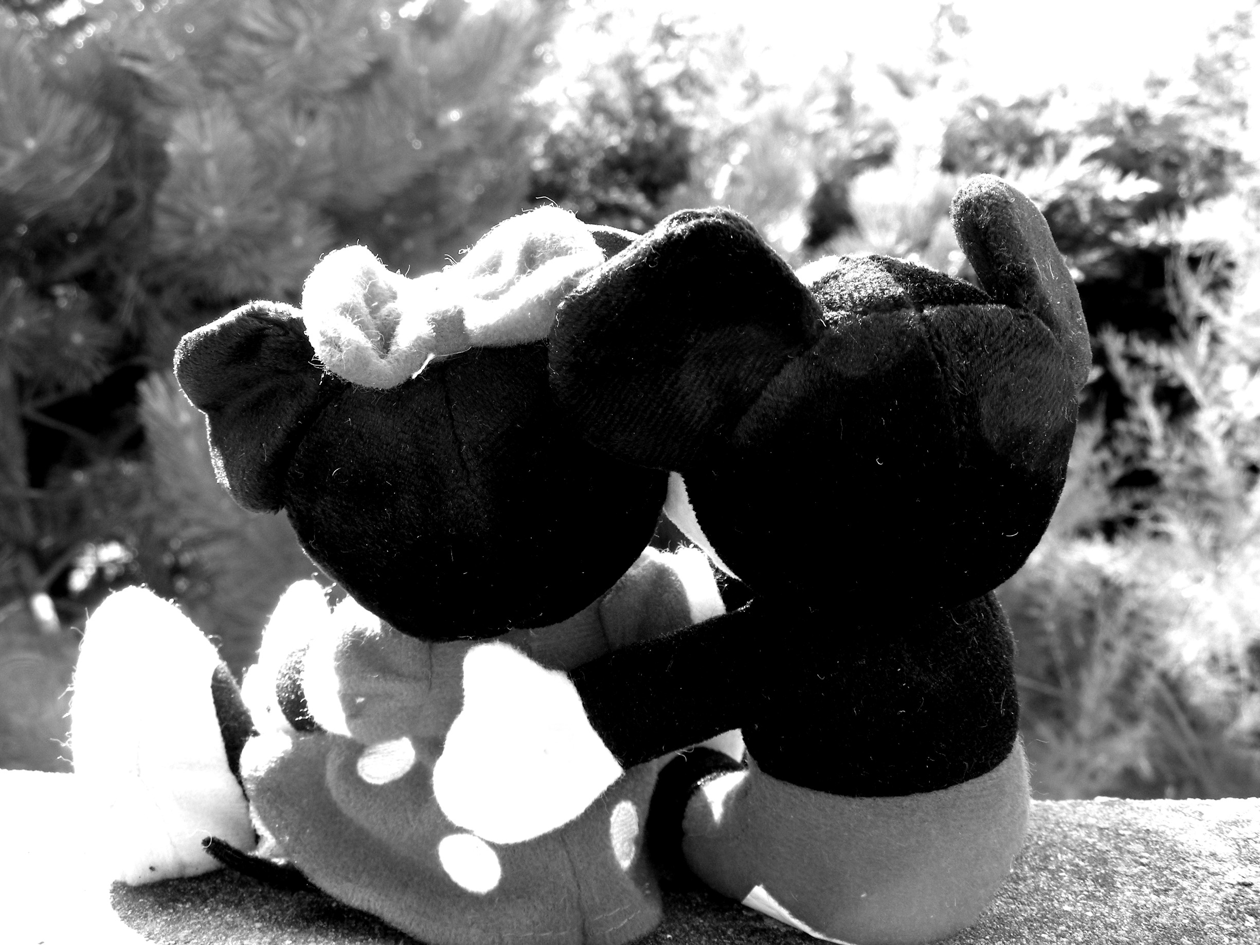 Wallpapers Objects Cuddly Mickey et Minnie sur le balcon