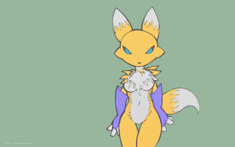 Fonds d'cran Manga Digimon Renamon 