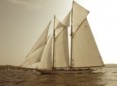 Wallpapers Boats Elena Voiles 2009