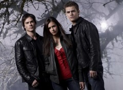 Fonds d'cran Sries TV Vampire Diaries