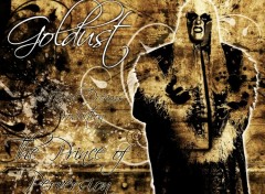 Wallpapers Sports - Leisures Goldust