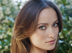 Fonds d'cran Clbrits Femme olivia wilde