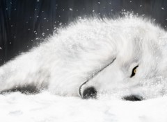 Wallpapers Digital Art Wolf