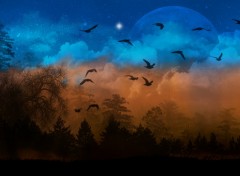 Wallpapers Digital Art Crepuscule nuit