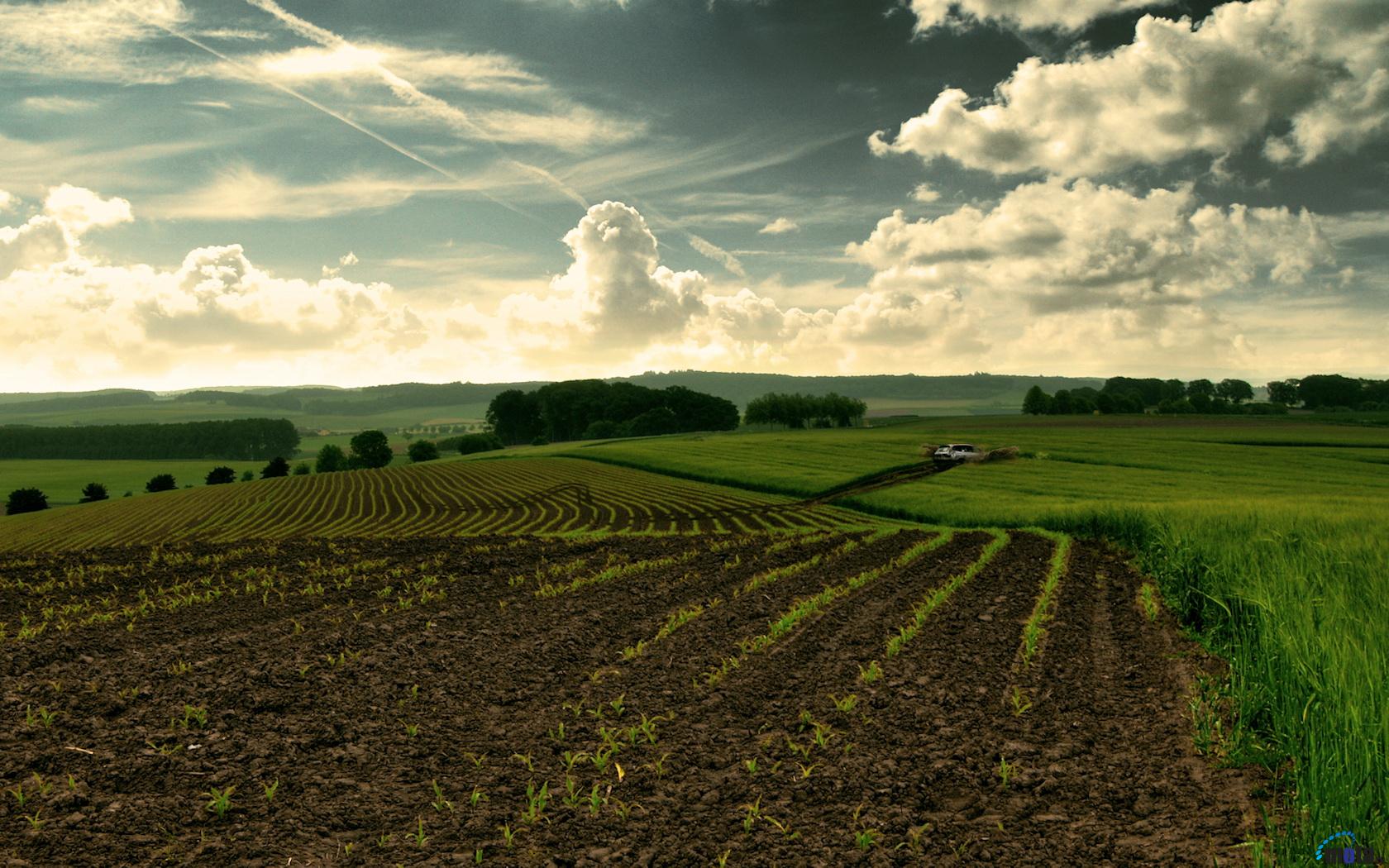 Wallpapers Nature Campaign La cl des champs