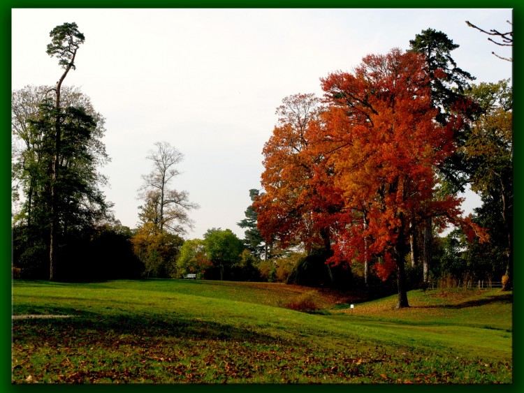 Wallpapers Nature Landscapes Versailles