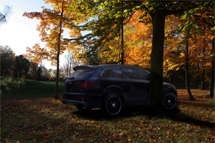 Fonds d'cran Voitures Audi Q7 in the woods