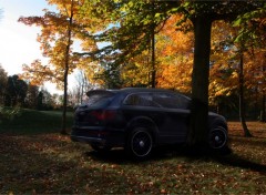 Fonds d'cran Voitures Q7 in the woods