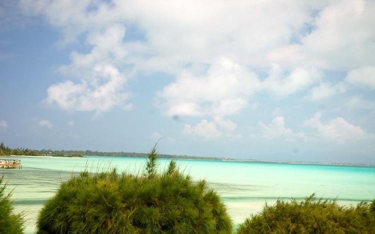 Fonds d'cran Nature Mers - Ocans - Plages Bord de lagon