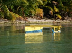 Fonds d'cran Nature Pirogue Polynesienne